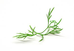 Dill image