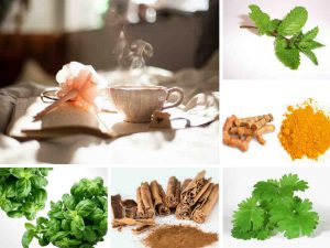 5 Common Culinary Herbs and Spices that Relieve Stress