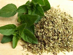 Fresh Herbs vs Dried Herbs