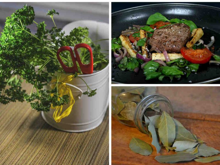 Fresh herbs vs dried Corner of My Home