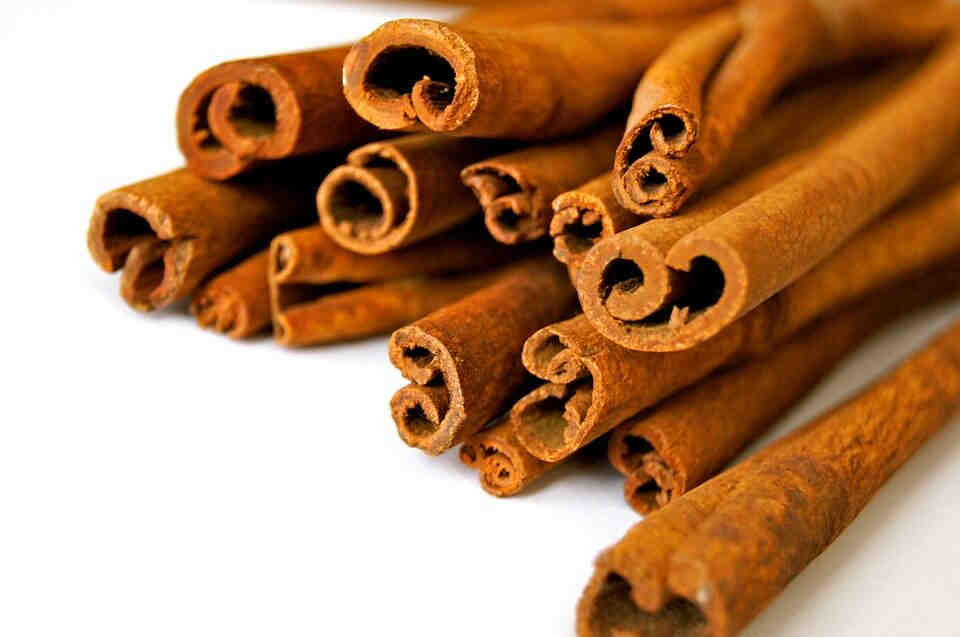 Cinnamon Stick