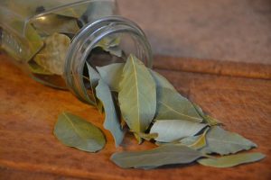 Bay leaves in bottle image