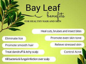 Bay leaves benefits - for healthy hair and skin
