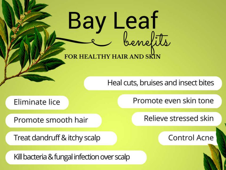 Bay Leaves Benefits For Healthy Hair And Skin 768x576 