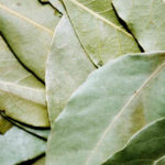 Bay leaf is strongly aromatic with a woody, sharp flavour and a pleasant, slightly minty aroma