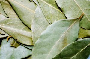 Bay leaf is strongly aromatic with a woody, sharp flavour and a pleasant, slightly minty aroma