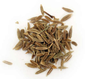 Cumin has a distinctive flavour holds an earthy, nutty and spicy taste
