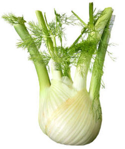 Fennel has a warm and liquorice-like taste that is slightly sweet.