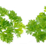 Parsley has a vibrant, aromatic flavour with a slightly lemony aroma