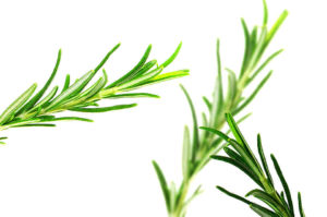 Rosemary has a minty, peppery, balsamic taste with a bitter, woody aftertaste.