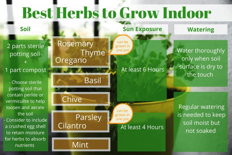 Grow Herbs Indoors Year Round - Corner of My Home