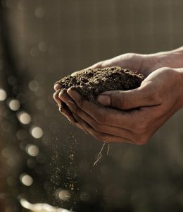 Hands in dirt