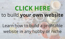 Build your own website