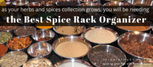 Best Spice Rack Organizer Review