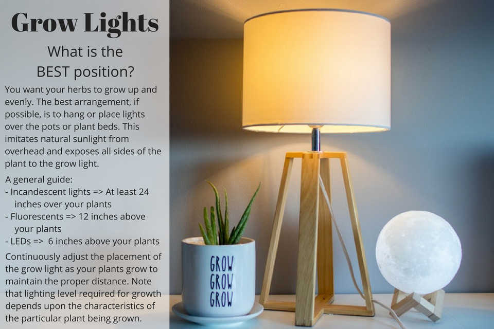 If possible, hang or place light over the pot to imitate sunlight from overhead and expose all sides of the plant to the grow light
