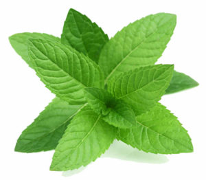 Peppermint is one of the best remedy for gas and bloating. It contains menthol which can relax the muscle.