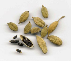 The seeds are the primary source of scent and flavour of cardamom