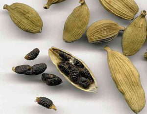 Each pod contains 8 to 16 seeds
