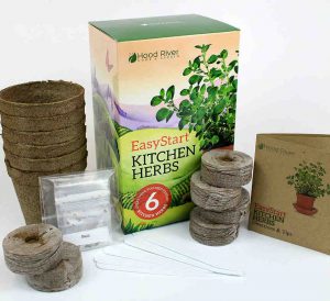 Indoor herb garden starter kit for beginners