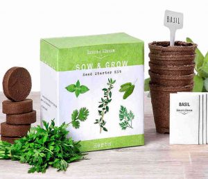 Indoor herb garden starter kit for beginners