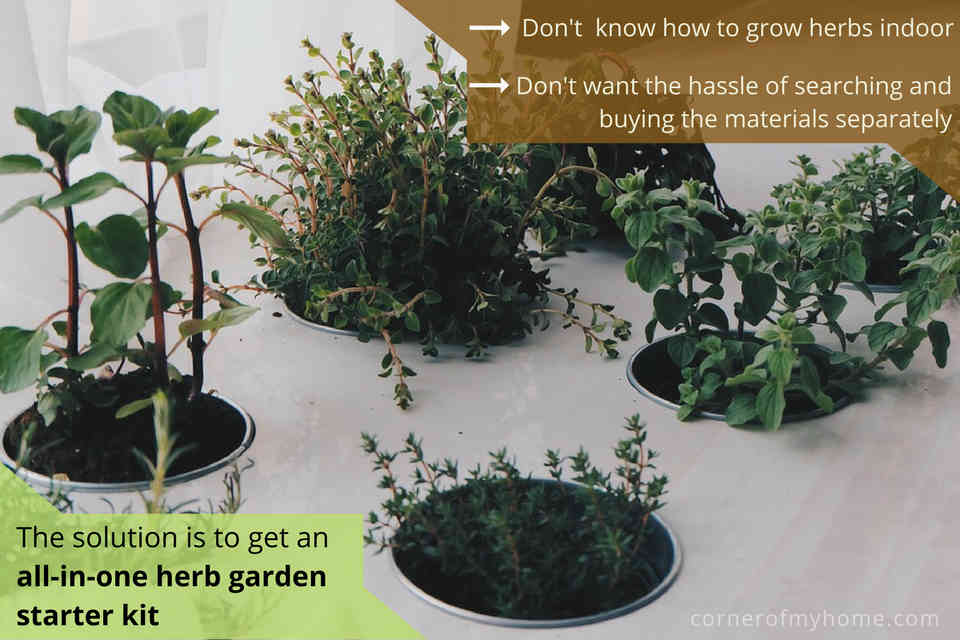 All-in-one herb garden starter kit to avoid the hassle of searching and buying the materials separately