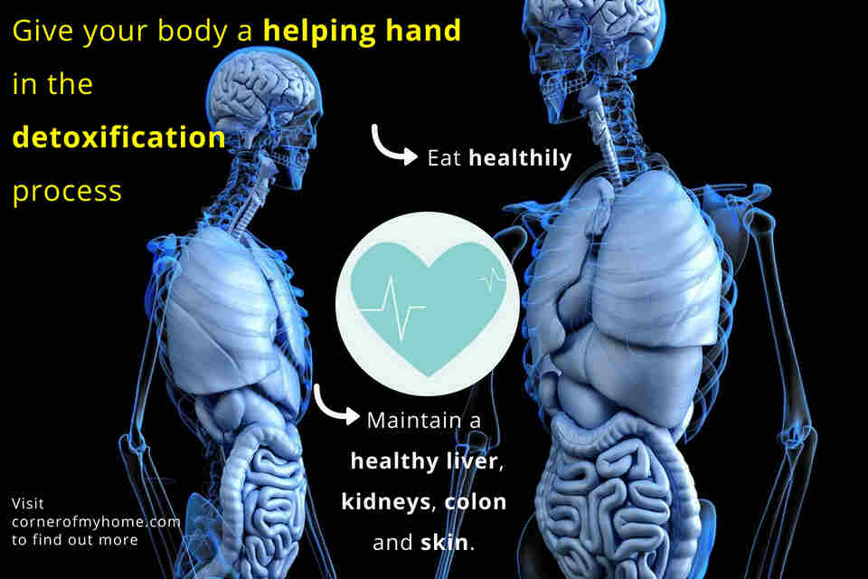 Eat healthily to maintain a healthy liver, kidneys, colon and skin