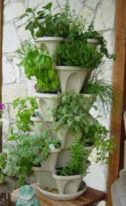 A good solution to growing herbs in small spaces