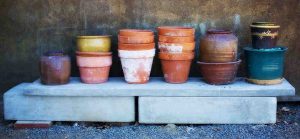 Terracotta and plastic pots are common for growing herbs