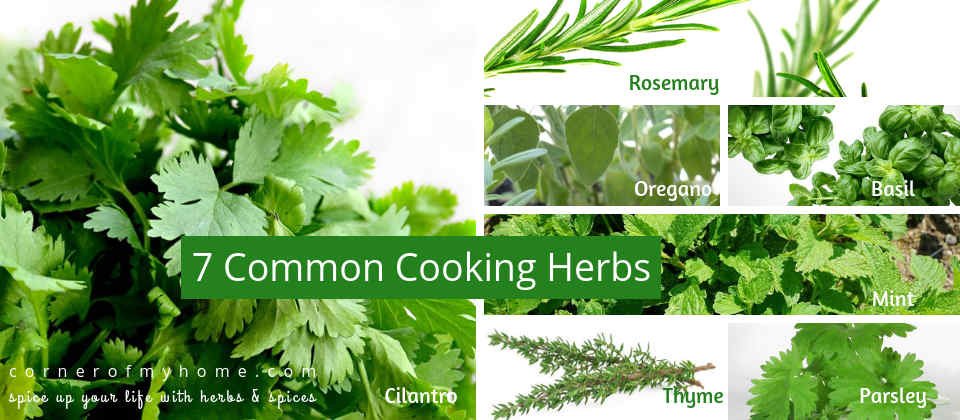 7 Common Cooking Herbs