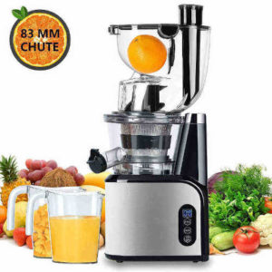 Aobosi Slow Masticating Juicer with Double Feeder Chute