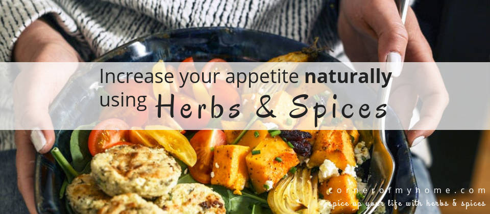 Increase Appetite Naturally Using Herbs and Spices