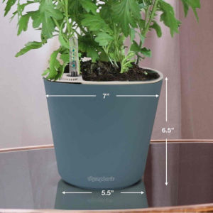 Aquaphoric Self Watering Planter 7 inches