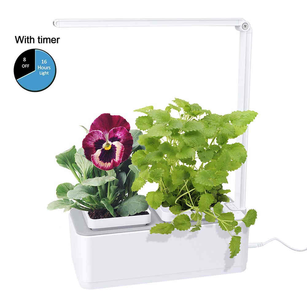 Uses hydroponic growing system