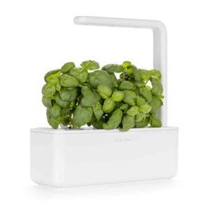 Easily start your indoor herb garden with everything needed in this kit