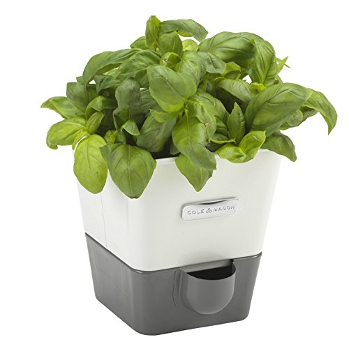 Simple yet attractive self-watering planter