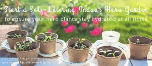 Ensures your herb plants stay hydrated all year round