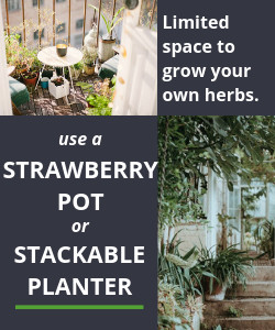 Grow your herbs using the Strawberry Pot or Stackable Planter if you have limited space