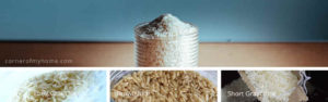 Types of Rice