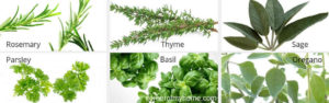 Herbs that pair well with beef are rosemary, thyme, sage, parsley, basil and oregano