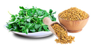 Fenugreek seeds is an ancient spices with a long history of use in food and as medicines.