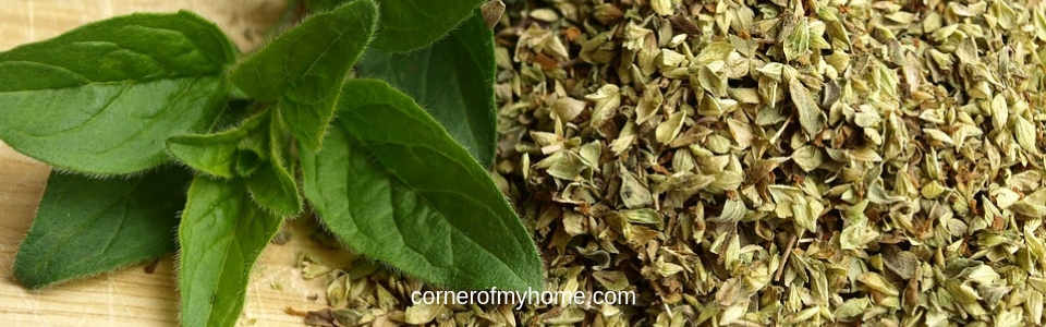 You can use either fresh herbs or dried to flavour your beef