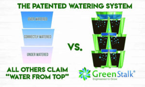 GreenStalk Patented Watering System