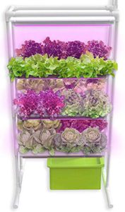 SavvyGrow Indoor Vertical Herb Garden Starter Kit