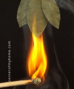 Burning bay leaves will release the active compounds into the air and may benefit your health