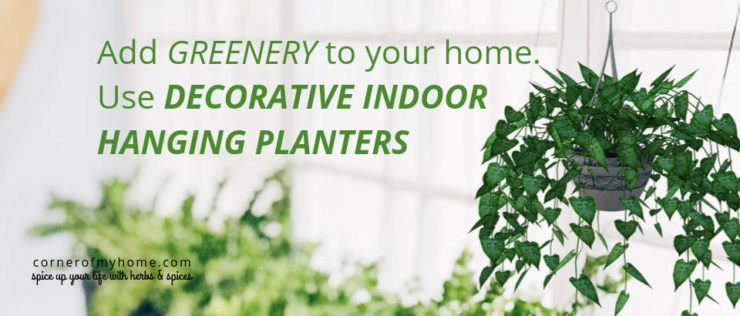 Add greenery to your home. Use decorative indoor hanging planters to save space.