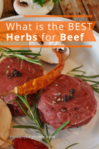 What is the Best Herbs for Beef