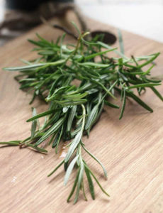Rosemary herb may help reduce inflammation