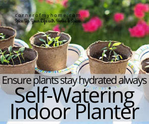 Ensure plants stay hydrated always using a self watering indoor planter.