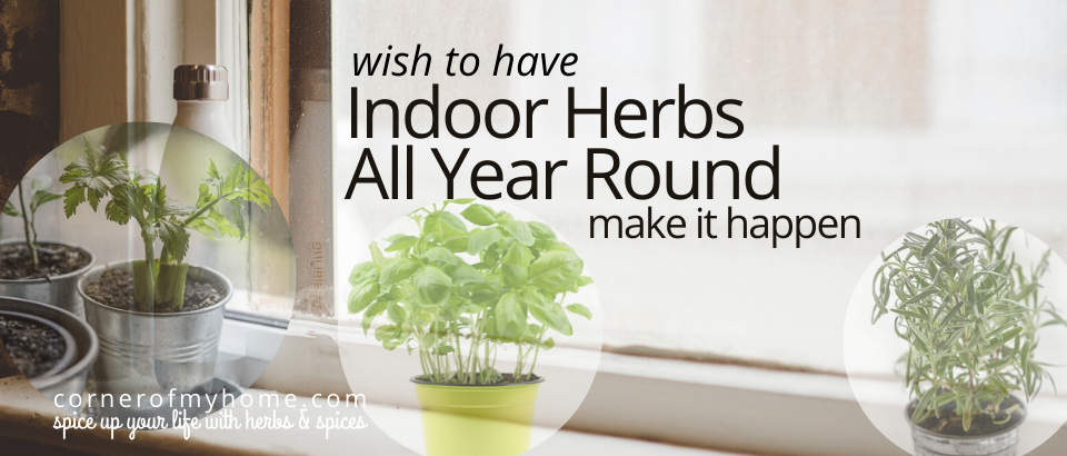 Grow indoor herbs year round