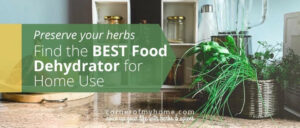 Preserve your herbs. Get the best food dehydrator for home use.